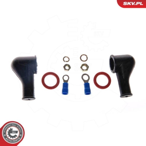 ESEN SKV Kraftstoffpumpe 02SKV009