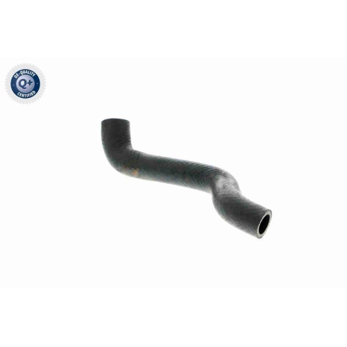 VAICO K&uuml;hlerschlauch Q+, Erstausr&uuml;sterqualit&auml;t V20-1238