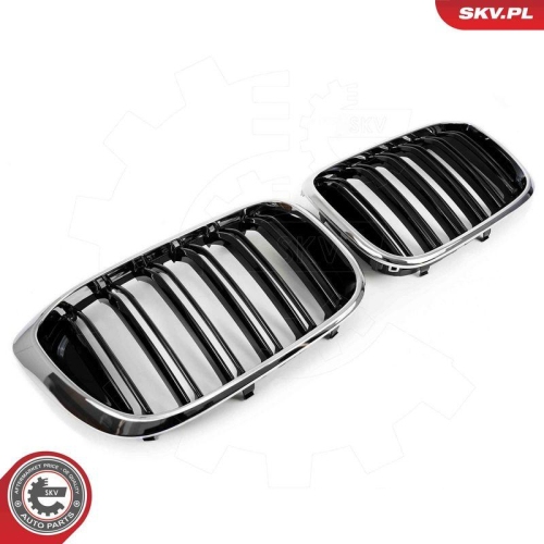 ESEN SKV Kühlergitter 66SKV263