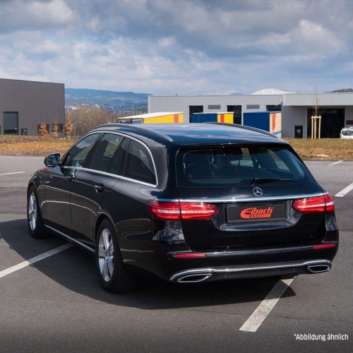 EIBACH Fahrwerkssatz, Federn Pro-Kit E10-25-040-04-20