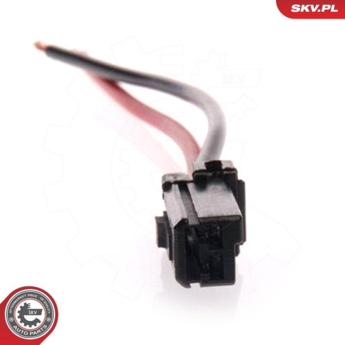 ESEN SKV Kraftstoffpumpe 02SKV205