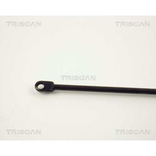 TRISCAN Gasfeder, Motorhaube 8710 1012