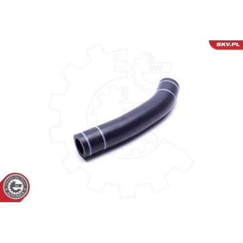 ESEN SKV Ölleitung, Lader 54SKV199