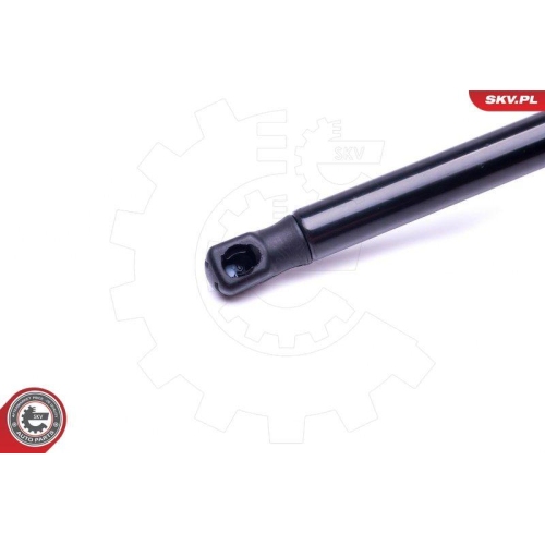 ESEN SKV Gasfeder, Koffer-/Laderaum