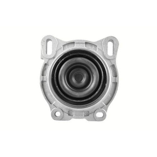 TEDGUM Lagerung, Motor TED44719