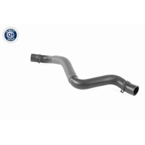 VAICO K&uuml;hlerschlauch Q+, Erstausr&uuml;sterqualit&auml;t V95-0397