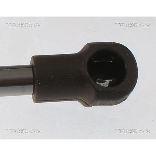 TRISCAN Gasfeder, Koffer-/Laderaum 8710 25233