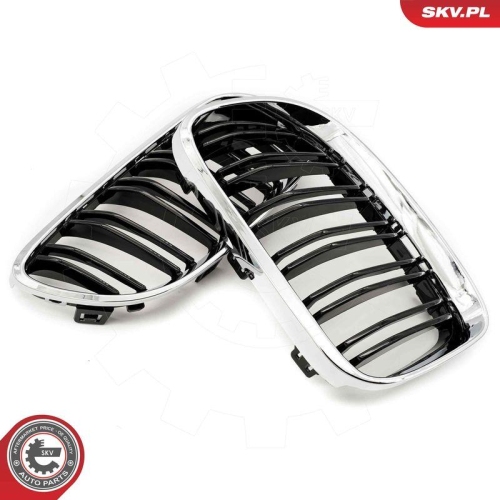 ESEN SKV Kühlergitter 66SKV118