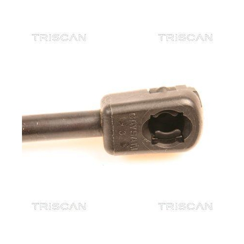 TRISCAN Gasfeder, Koffer-/Laderaum 8710 29251