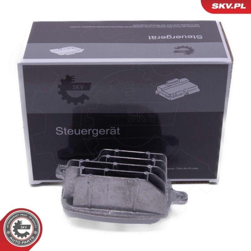 ESEN SKV Steuerger&auml;t, Beleuchtung 59SKV208
