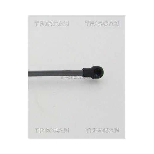 TRISCAN Gasfeder, Koffer-/Laderaum 8710 42244