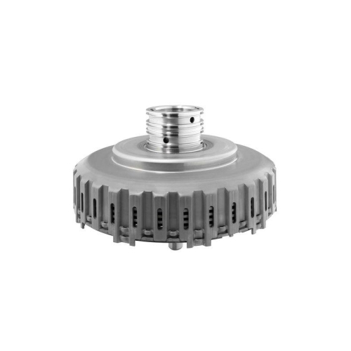 BorgWarner Kupplungsmodul OE-Version/Erstausr&uuml;stung 202153