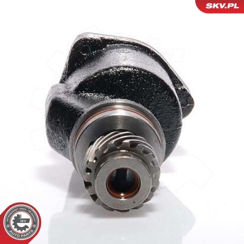 ESEN SKV Unterdruckpumpe, Bremsanlage 18SKV001