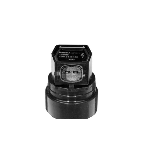 BorgWarner (BERU) Z&uuml;ndspule ZS625