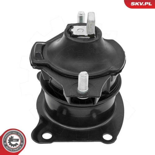 ESEN SKV Lagerung, Motor