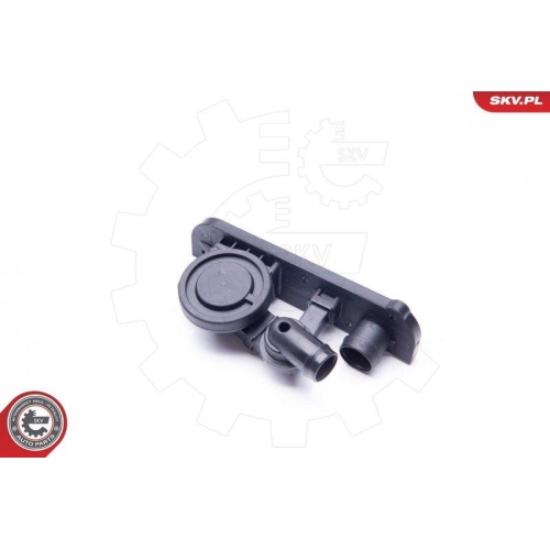 ESEN SKV Reparatursatz, Kurbelgehäuseentlüftung