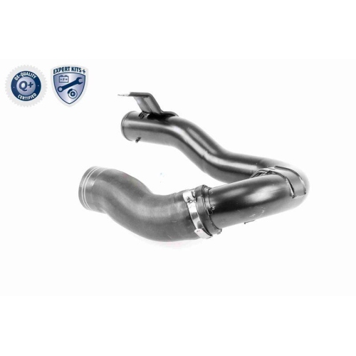 VAICO Ladeluftschlauch EXPERT KITS + V24-0718