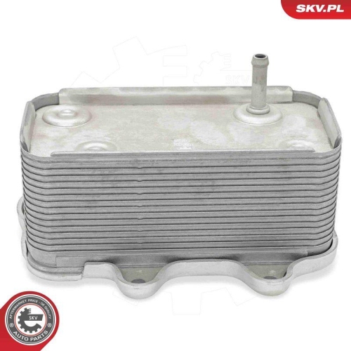 ESEN SKV &Ouml;lk&uuml;hler, Motor&ouml;l 31SKV334