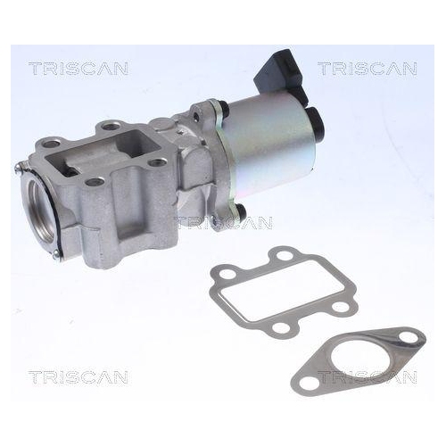 TRISCAN AGR-Ventil 8813 13100