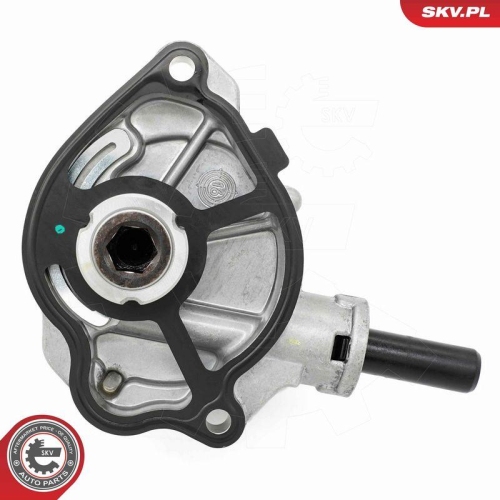 ESEN SKV Unterdruckpumpe, Bremsanlage 18SKV081