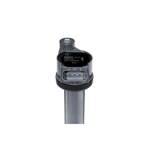 BorgWarner (BERU) Z&uuml;ndspule ZSE309