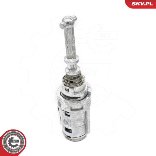 ESEN SKV Schlie&szlig;zylinder