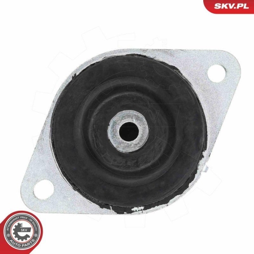 ESEN SKV Lagerung, Motor 75SKV090