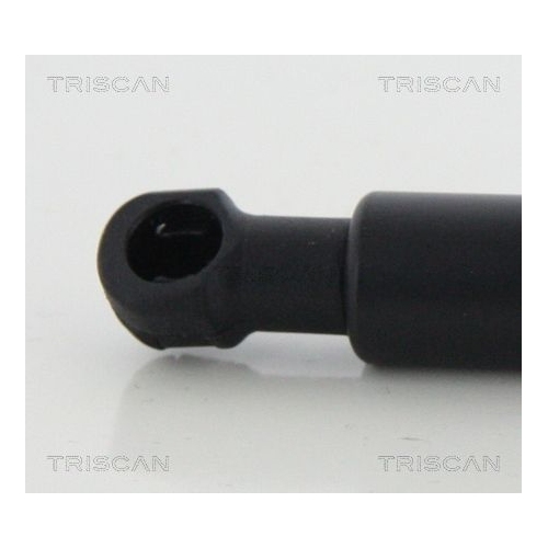 TRISCAN Gasfeder, Koffer-/Laderaum 8710 13292