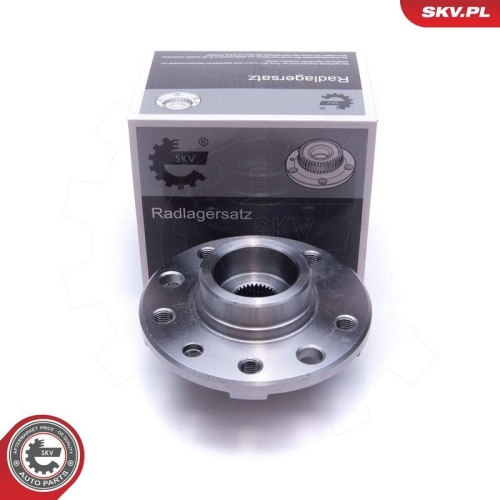 ESEN SKV Radlagersatz 29SKV522