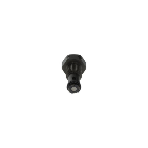BOSCH Ventil, Einspritzanlage F 00N 202 279