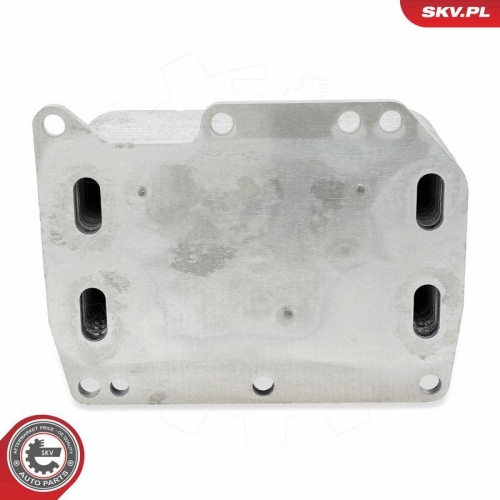 ESEN SKV &Ouml;lk&uuml;hler, Motor&ouml;l 31SKV344