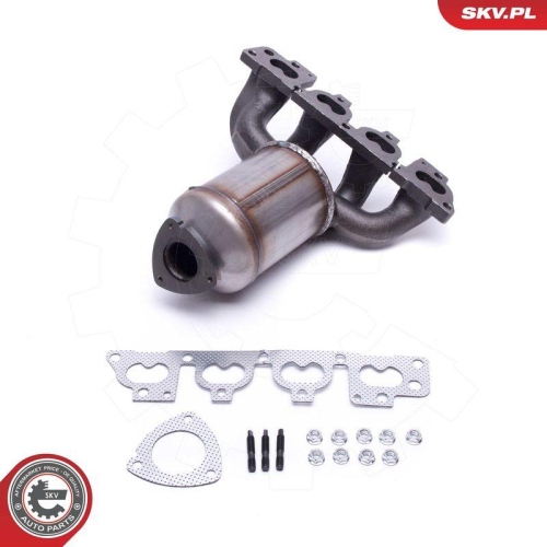 ESEN SKV Katalysator 62SKV006