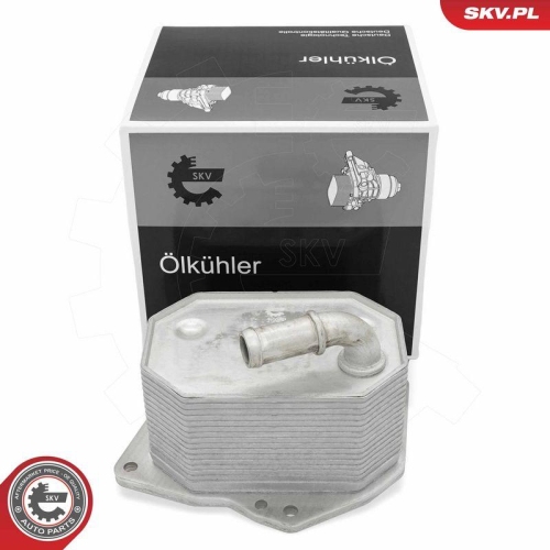 ESEN SKV &Ouml;lk&uuml;hler, Motor&ouml;l 31SKV348