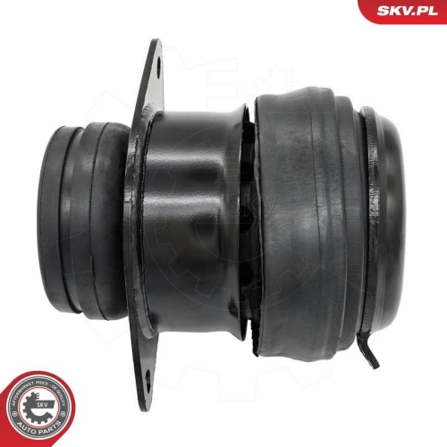 ESEN SKV Lagerung, Motor 75SKV241