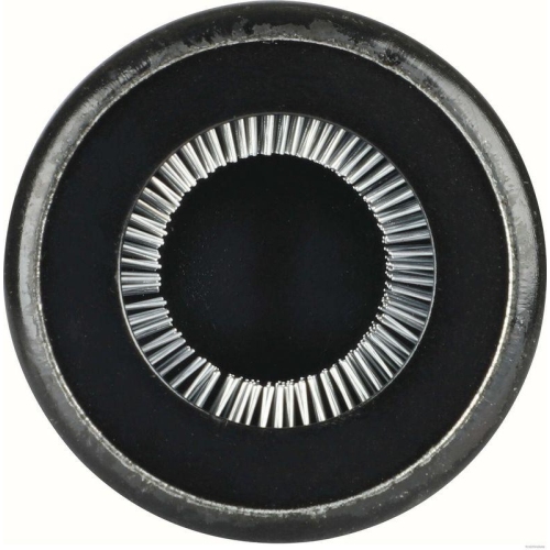 HERTH+BUSS BUSCHiNG Drahtb&uuml;rste, Batteriepol-/Klemmenreinigung BU015003