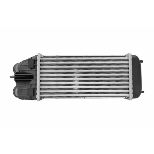 HELLA Ladeluftk&uuml;hler 8ML 366 340-621