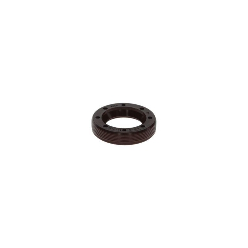 BOSCH Dichtung F 00N 202 338