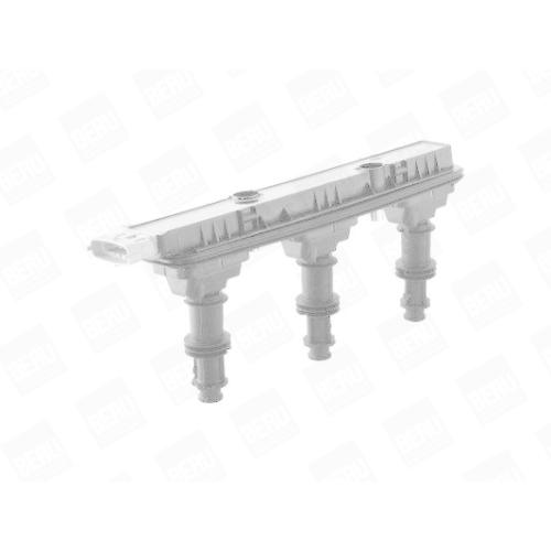 BorgWarner (BERU) Z&uuml;ndspule ZSE153