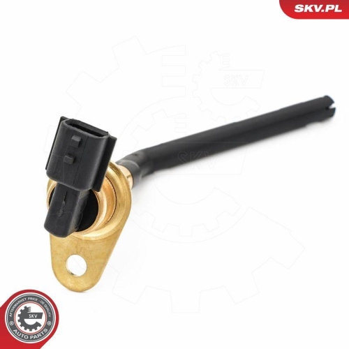 ESEN SKV Sensor, Motor&ouml;lstand 17SKV944