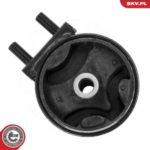 ESEN SKV Lagerung, Motor 75SKV021