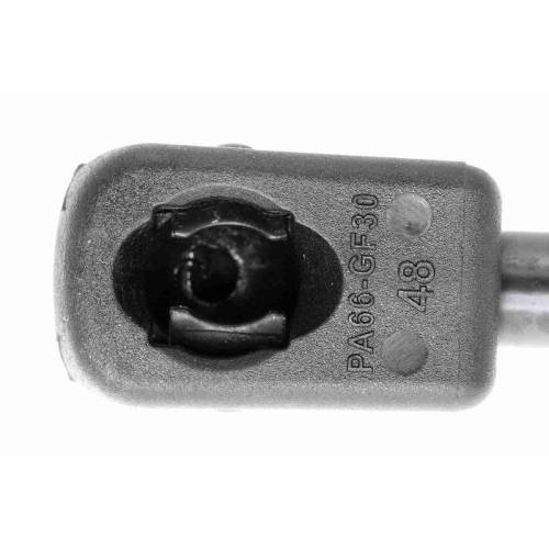 VAICO Gasfeder, Motorhaube Green Mobility Parts V20-2861