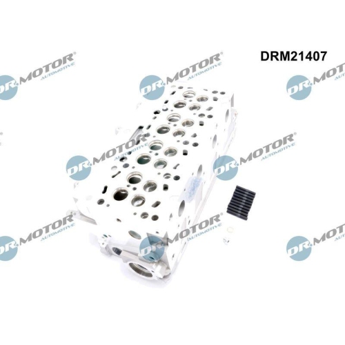Dr.Motor Automotive Zylinderkopf DRM21407
