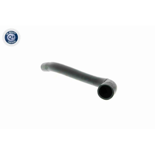 VAICO Schlauch, Zylinderkopfhaubenentl&uuml;ftung Q+, Erstausr&uuml;sterqualit&auml;t V22-1070