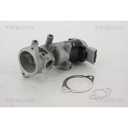 TRISCAN AGR-Ventil 8813 17008