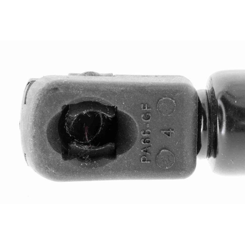 VAICO Gasfeder, Motorhaube Original VAICO Qualit&auml;t V10-2073