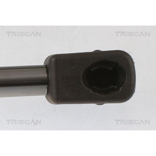 TRISCAN Gasfeder, Koffer-/Laderaum 8710 40245