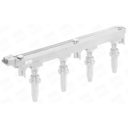 BorgWarner (BERU) Z&uuml;ndspule ZS352