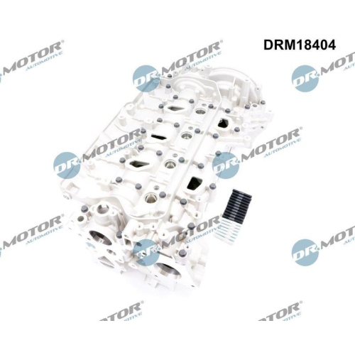 Dr.Motor Automotive Zylinderkopf DRM18404