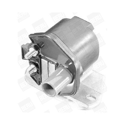 BorgWarner (BERU) Zündspule ZS296