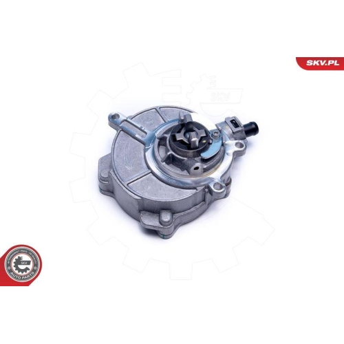 ESEN SKV Unterdruckpumpe, Bremsanlage